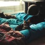 oldercat