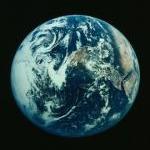 Water, Meat, and Earth Day By Lisa Towell