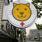 Prime Tips: How to Pick Your Vet by Scott VanValkenburg