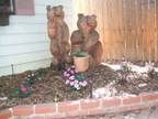 A Greener Garden for You and Your Dog By Michelle Rivera