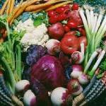 Encouraging That Aspiring Vegetarian or Vegan in Your Life by Guest Blogger