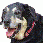 image002