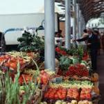 Veggie Benefits by Alisa Mullins