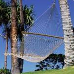 Prime Contest: Win a Free Trip to Hawaii! by Scott Anderson