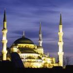 Launch of Islamic Animal Rights Site: Choose Cruelty-Free by Guest Blogger