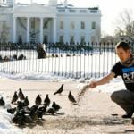Help Animals This Winter by Guest Blogger