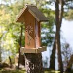 Are We Killing Birds With Kindness? by Alisa Mullins