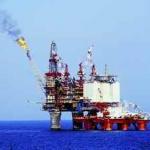 BP Should Face Cruelty Charges by Ingrid Newkirk