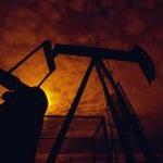 Reflection on the Oil Spill Crisis by Michelle Rivera