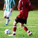Goal for Animals! Red Cards to World Cup Countries for Cruelty by Scott VanValkenburg