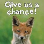 What Would the Animals Say? by Guest Blogger