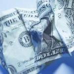 Tax Dollars Thrown Away on Pointless Animal Experiments by Guest Blogger