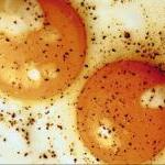 An Egg a Day Keeps the Doctor … Wealthy by Guest Blogger