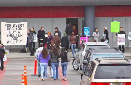 Demonstrators in front of the Golden Gate Kennel Club demo
