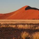 sand-dunes