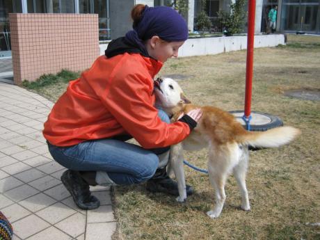 a-with-dog-animal-rescue-japan-march-2011-041