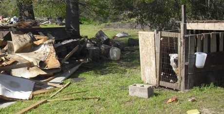 PETA found this dog after a tornado in North Carolina