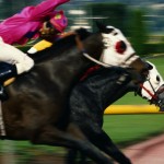 horseracing