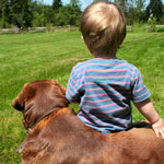 dog-andboy