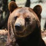 Sanctuary Founder Leaves Safe-Haven Legacy