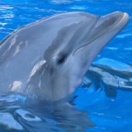 pp-0513seaworld