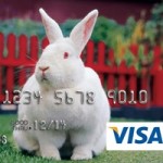 petacreditcard