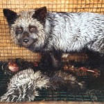 WearFurCage2