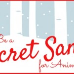 Be-a-Secret-Santa