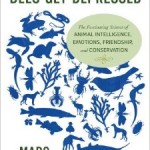 marc book