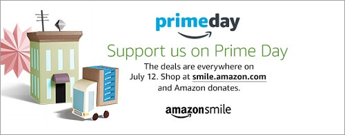 Amazon Prime Day500