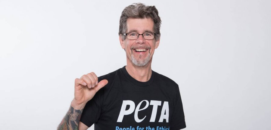 PETA Prime: What a Difference a Year Makes