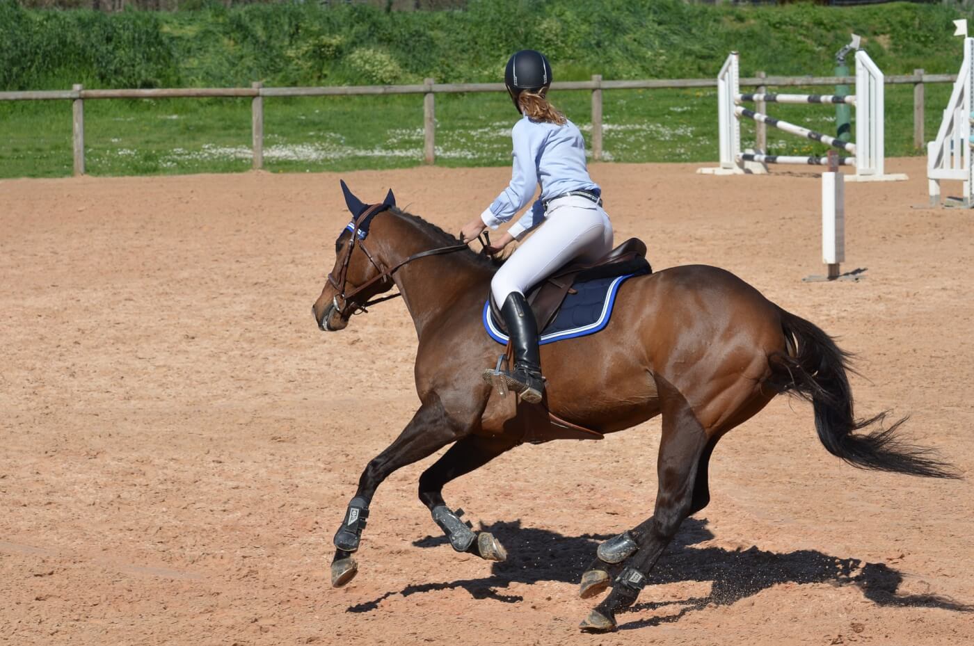 Does a good bra equal good riding? Research intends to finds out - Horse &  Hound