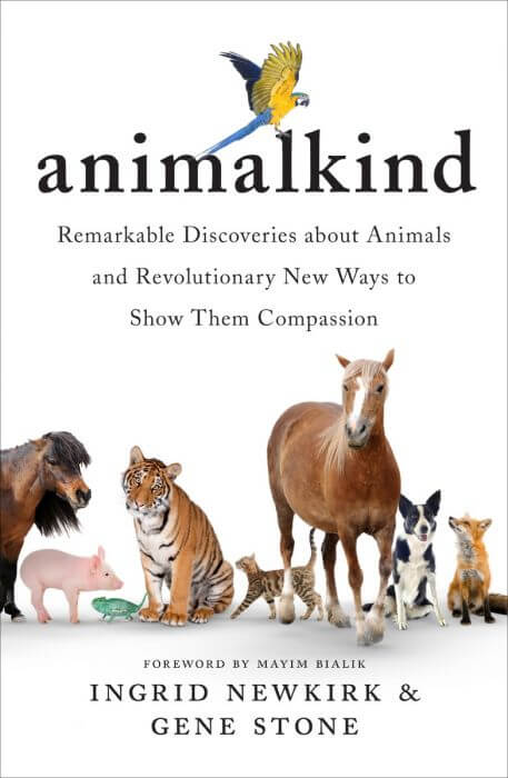 Order your copy of Animlkind today!