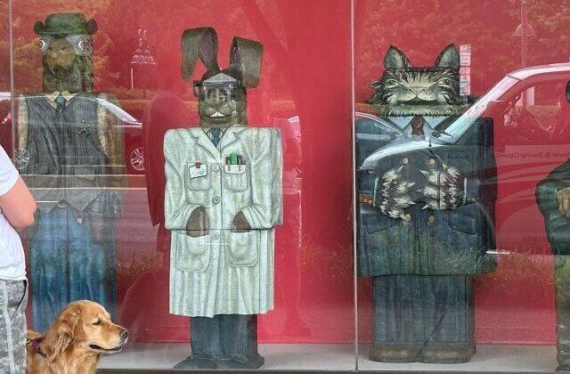 Don’t Miss This Eye-Opening Exhibit!