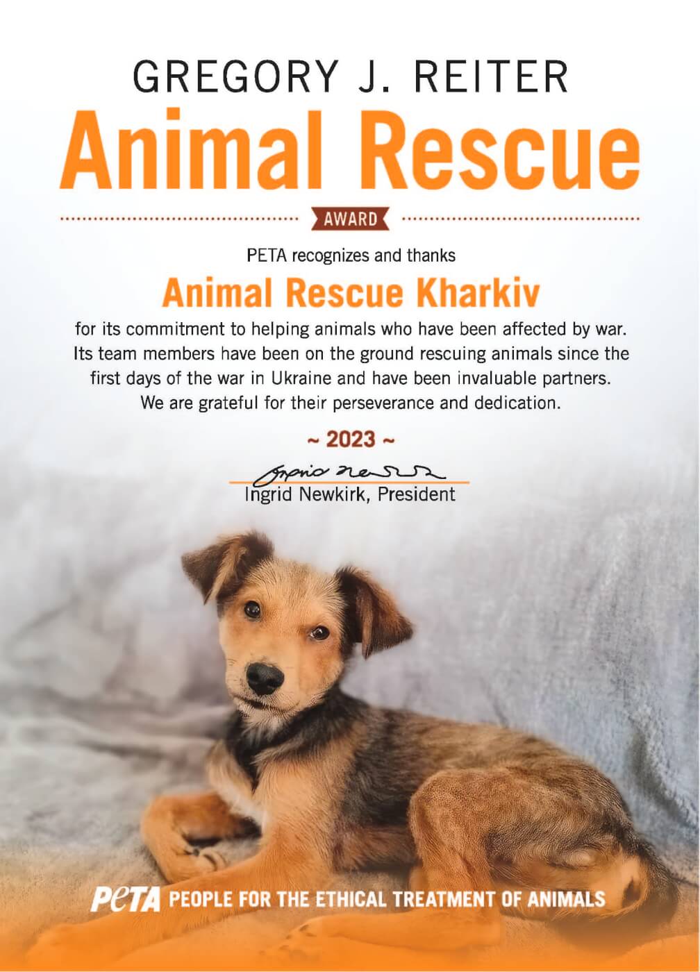 animal charity posters