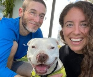 Dan and Angel and Katherine, pictured from left to right; Angel was rescued by CAP fieldworkers after spending years chained and penned outside 24/7 in rural North Carolina, and she was the first PETA foster animal who Dan and Katherine cared for together.