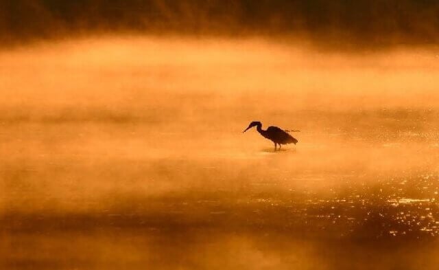 PETA Supporter Spotlight