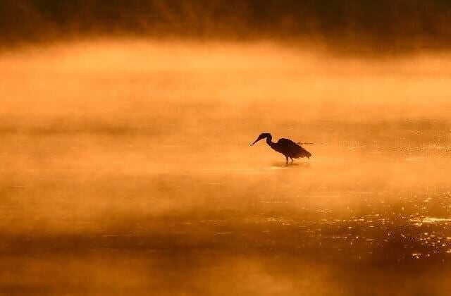 PETA Supporter Spotlight